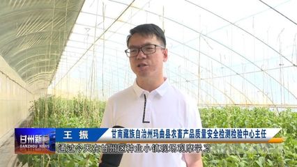 全省農(nóng)業(yè)社會化服務(wù)現(xiàn)場推進(jìn)會與會人員在我區(qū)觀摩